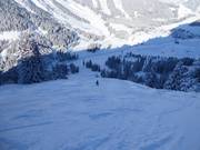 Discesa nera al Rastkopf