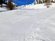 Pista blu sotto la cabinovia Mercantour