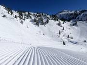 Ottima preparazione delle piste a Snowbird