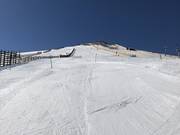 Pista intermedia n. 5