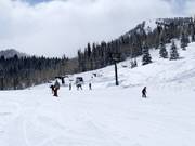 Pista facile presso la seggiovia Link