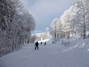 Facile collegamento alla seggiovia Große Almberg