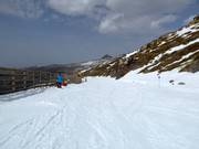 Facile discesa a valle Maribel