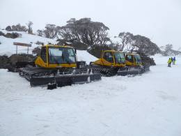 Perisher
