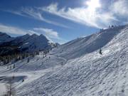Pendii di neve fresca alla Planai