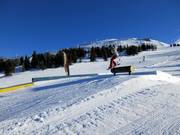 Spring Hill Terrain Park
