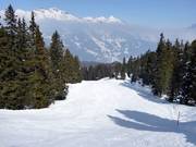 Discesa nel bosco Tschuggen