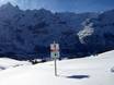 Oberland Bernese: Rispetto ambiente dei comprensori sciistici – Ecologia First - Grindelwald