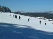 Facili discese presso la seggiovia Kirchenlift