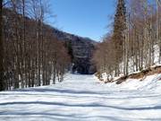 Discesa a valle Žagarjev graben n. 14