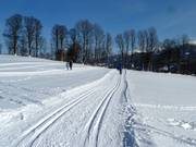 Piste da fondo a Ramsau am Dachstein