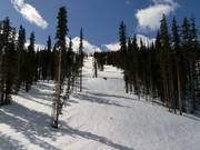 Tipica discesa nel bosco a Winter Park