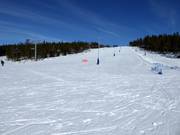 Ampia e facile discesa Västbacken