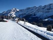 Tapis Mazots - Tapis roulant/Tappeto Magico