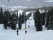 Alpine T-Bar - Skilift con T-bar/ancora