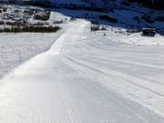 Anche le piste più ripide vengono preparate alla perfezione con grande impegno.