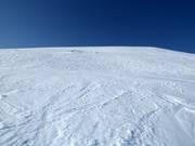 Pendii di neve fresca a Björkliden