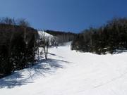 Tipica discesa attraverso radure nel bosco