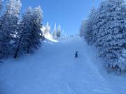 Pista difficile presso la Roßleitenbahn