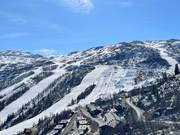 Vista sulle piste intorno allo Snowpark