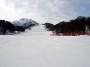 Perfetto per carving veloce: Ozernaya