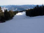 Discesa Dosso Larici