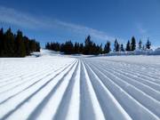 Preparazione delle piste di prima classe a Hafjell