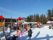 Il grande parco giochi