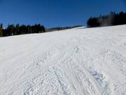 Discesa Fishang presso la seggiovia Stübenwasenlift