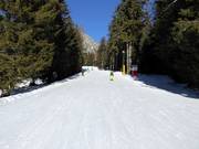 Discesa facile Falzeben I