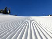 Ottima preparazione delle piste all'Arber