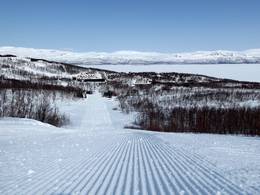 Fjällby - Björkliden