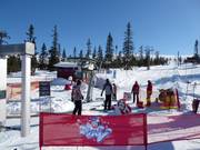 Smotten - Skilift a piattello