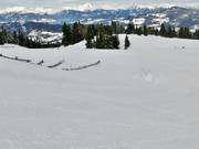 Discesa blu per famiglie