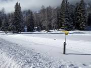 Pista di fondo in quota Schlickeralm: molto ben preparata