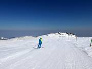 Pista Laleto lesna 3