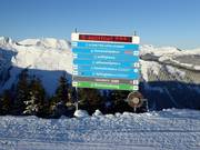 Segnaletica delle piste