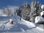 Nordhang-Schlepplift - Skilift con T-bar/ancora