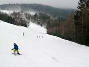 Discesa presso la sciovia Hotelhanglift