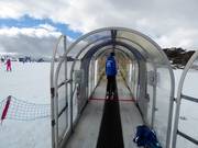 Mouse Trap - Tapis roulant/Tappeto Magico con galleria