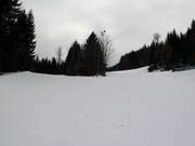 Discesa Familien-Kogel