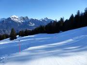 Pista facile Mittelsäss