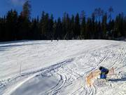 Cannone da neve mobile in attesa