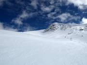 Pista Bacchus B n. 2b