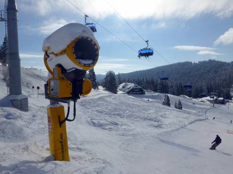 Sicurezza neve Baden-Württemberg – Sicurezza neve Feldberg - Seebuck/Grafenmatt/Fahl