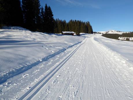 Sci di fondo Monti del Salzkammergut – Sci di fondo Postalm am Wolfgangsee