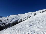 Ampio terreno di neve fresca presso la Hornbahn 2000