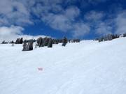 Discesa Williamson Bowl