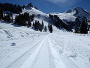 Pista da fondo sullo Stoos