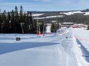 Mazda Self-Timer pista di gara